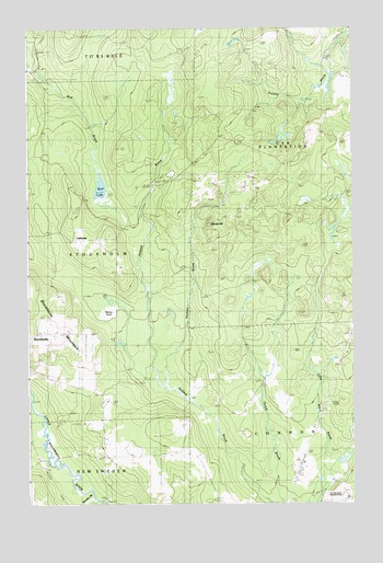 Picard Brook, ME USGS Topographic Map