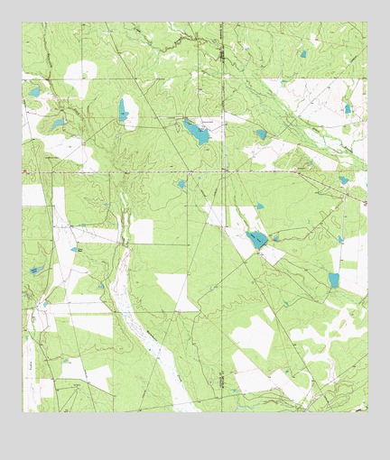 Piedra Creek NE, TX USGS Topographic Map