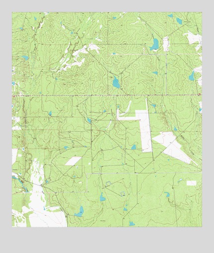 Piedra Creek NW, TX USGS Topographic Map
