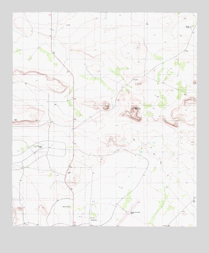 Pierce Ranch, TX USGS Topographic Map