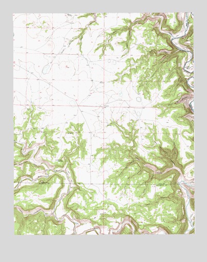 Alamito, NM USGS Topographic Map