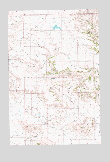 Pigtail Coulee, MT USGS Topographic Map