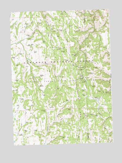 Pike Mountain, ID USGS Topographic Map
