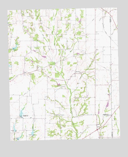 Pilot Grove, TX USGS Topographic Map