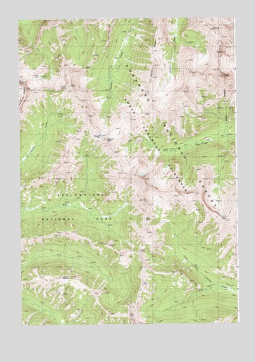 Pilot Peak, WY USGS Topographic Map