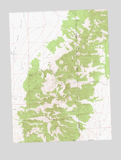 Pilot Peak, NV USGS Topographic Map