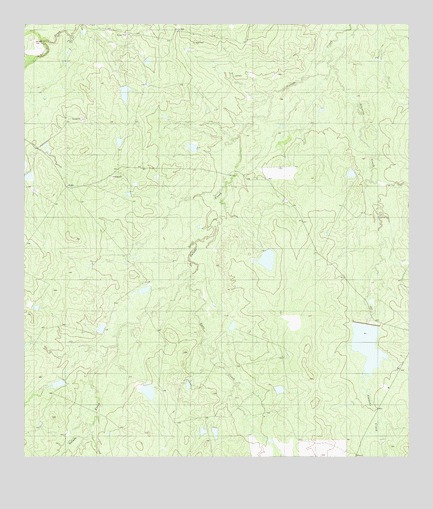 Alamito Creek, TX USGS Topographic Map
