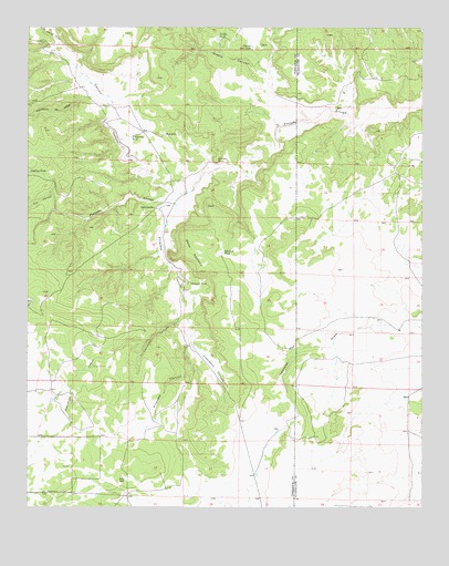Pinavete Canyon, NM USGS Topographic Map
