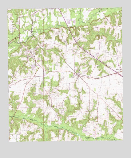 Pinckard, AL USGS Topographic Map