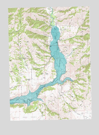 Pine, ID USGS Topographic Map