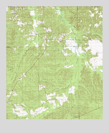 Pine Apple South, AL USGS Topographic Map