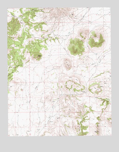 Pine Buttes, NM USGS Topographic Map