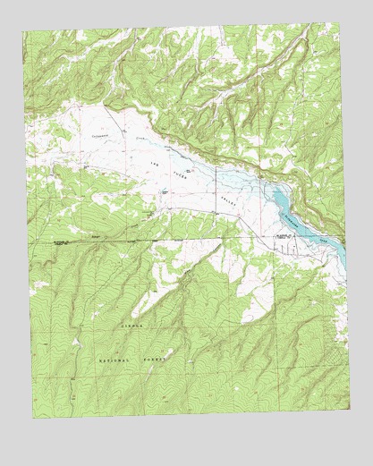 Pine Canyon, NM USGS Topographic Map