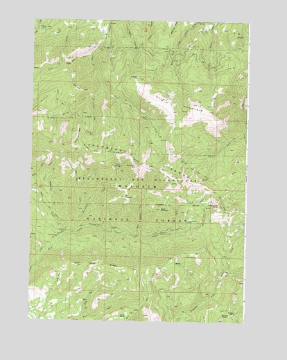 Pine Creek Mountain, OR USGS Topographic Map