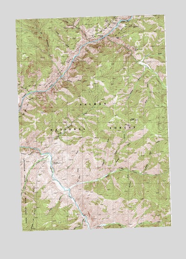 Pine Creek Rapids, ID USGS Topographic Map