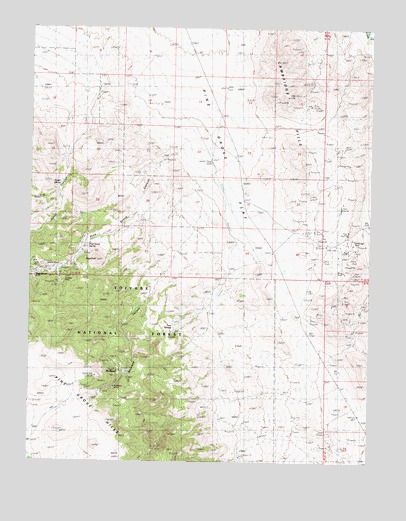 Pine Grove Spring, NV USGS Topographic Map