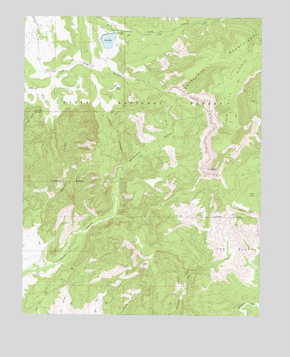 Pine Lake, UT USGS Topographic Map