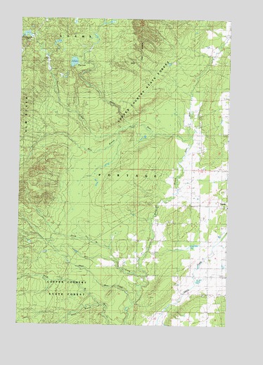 Pine Lake, MI USGS Topographic Map