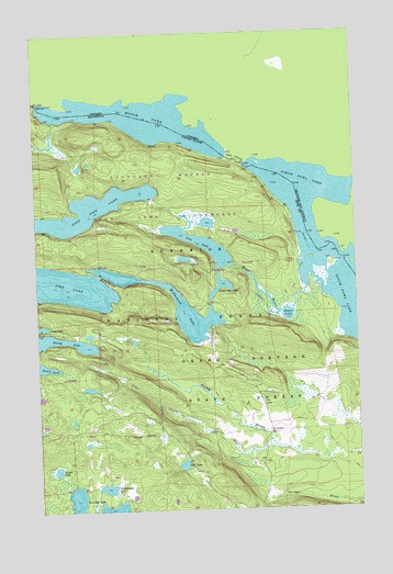 Pine Lake East, MN USGS Topographic Map