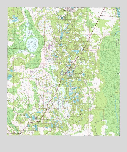 Pine Lakes, FL USGS Topographic Map