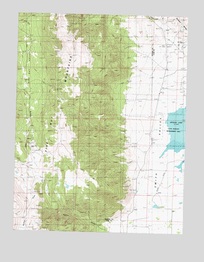 Pine Nut Valley, NV USGS Topographic Map