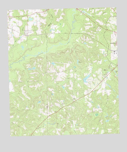 Pine Park, GA USGS Topographic Map