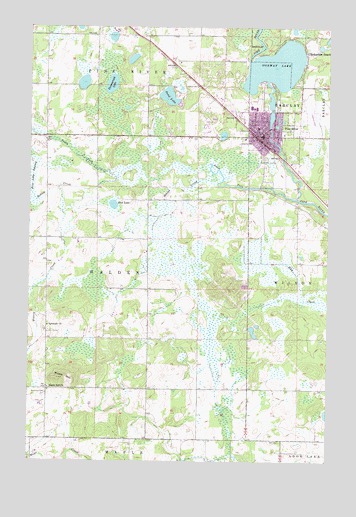 Pine River, MN USGS Topographic Map