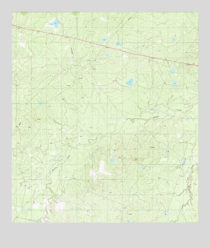 Alamito Creek NE, TX USGS Topographic Map