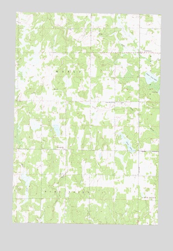 Pine River SW, MN USGS Topographic Map