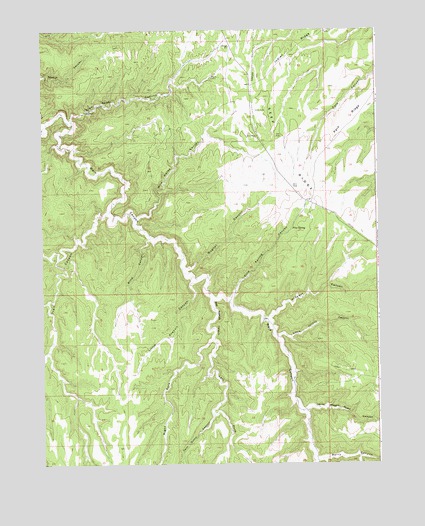 Pine Spring Canyon, UT USGS Topographic Map
