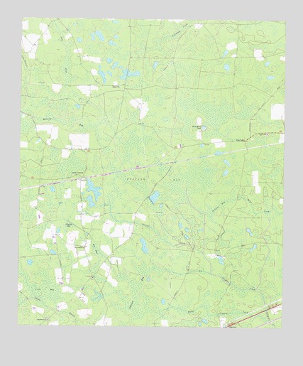Pine Valley, GA USGS Topographic Map