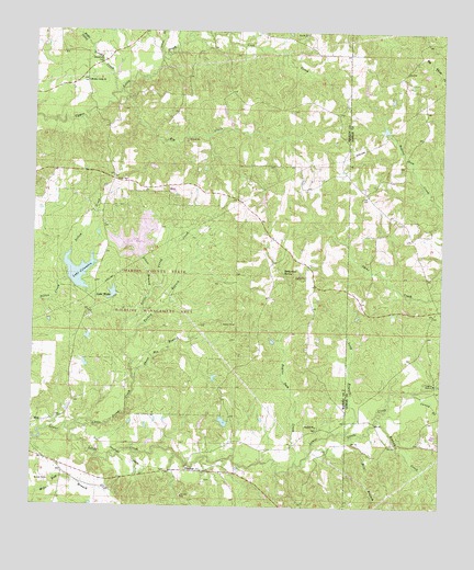 Pinebur, MS USGS Topographic Map