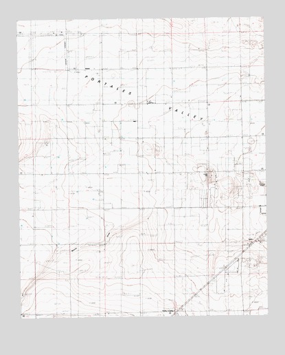 Bethel, NM USGS Topographic Map