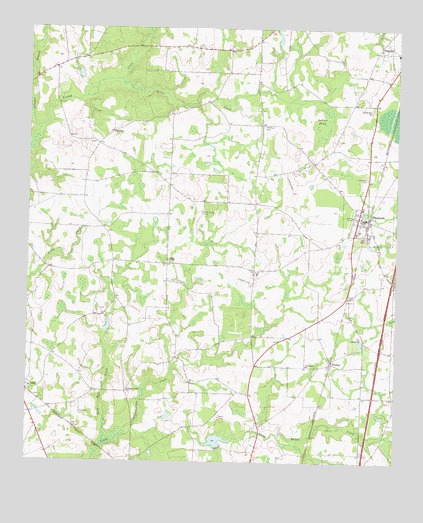 Pinehurst, GA USGS Topographic Map