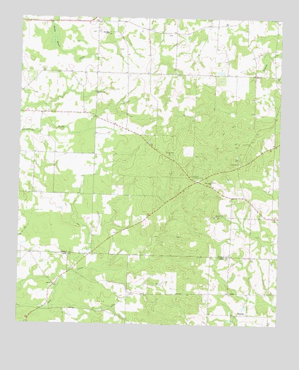 Pineview SW, GA USGS Topographic Map