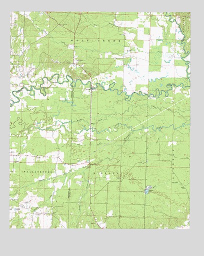 Piney Grove, AR USGS Topographic Map