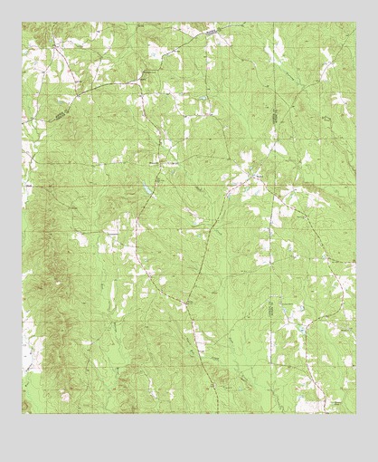 Bethel, AL USGS Topographic Map