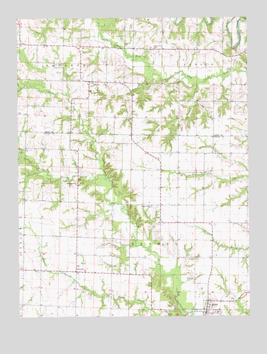 Bethel, MO USGS Topographic Map