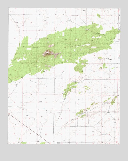 Pino Mountain, NM USGS Topographic Map