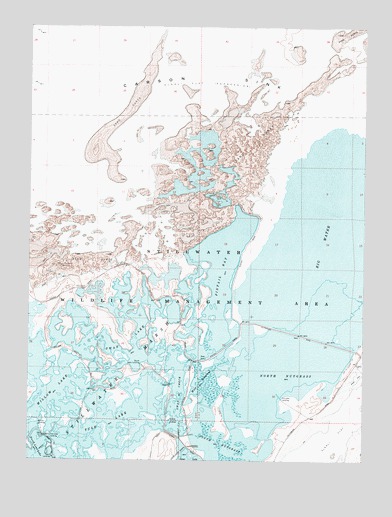 Pintail Bay, NV USGS Topographic Map