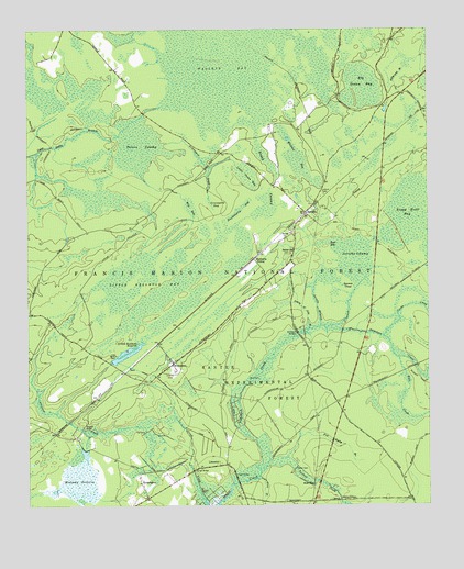 Bethera, SC USGS Topographic Map