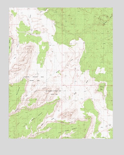 Pioneer Mesa, UT USGS Topographic Map