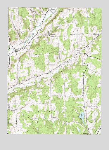 Pitcher, NY USGS Topographic Map
