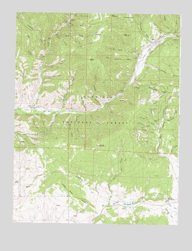 Pitkin, CO USGS Topographic Map