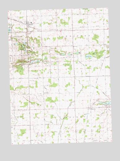 Pittsford, MI USGS Topographic Map