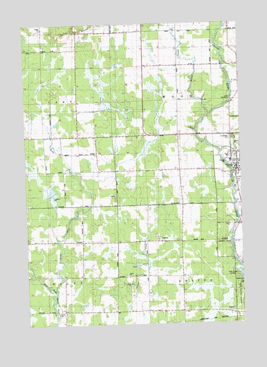 Pittsville, WI USGS Topographic Map