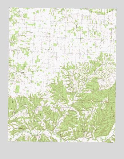 Bethpage, MO USGS Topographic Map