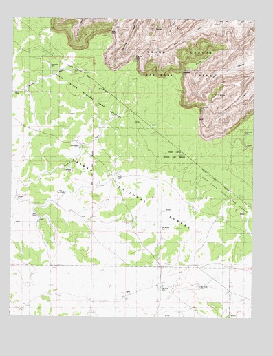 Piute Point, AZ USGS Topographic Map
