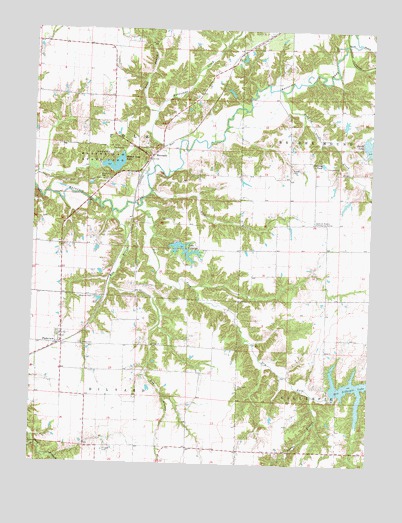 Plainview, IL USGS Topographic Map
