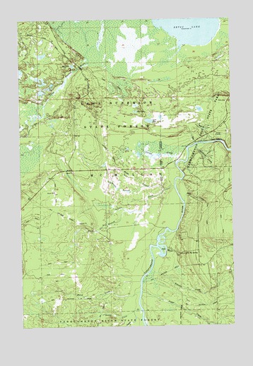 Betsy Lake South, MI USGS Topographic Map